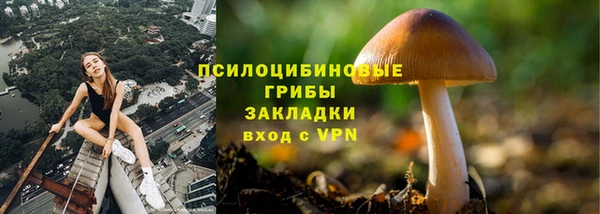 бошки Абинск