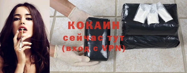 сатива Абаза