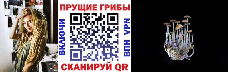 OMG ссылка Тында Псилоцибиновые грибы мухоморы
