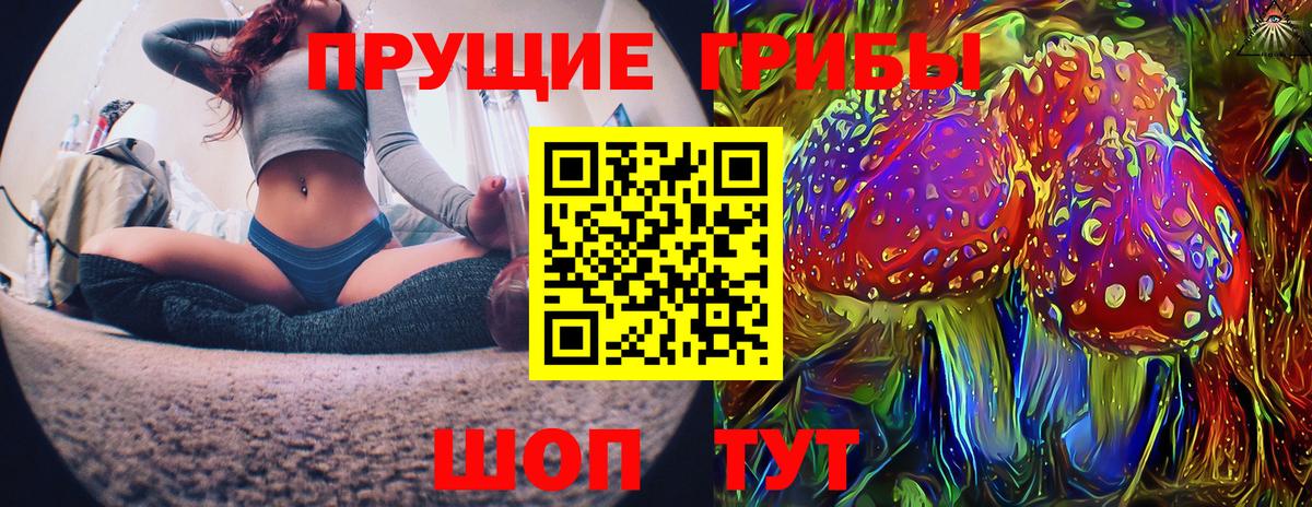 Галлюциногенные грибы ЛСД  Вход с VPN  Тында 