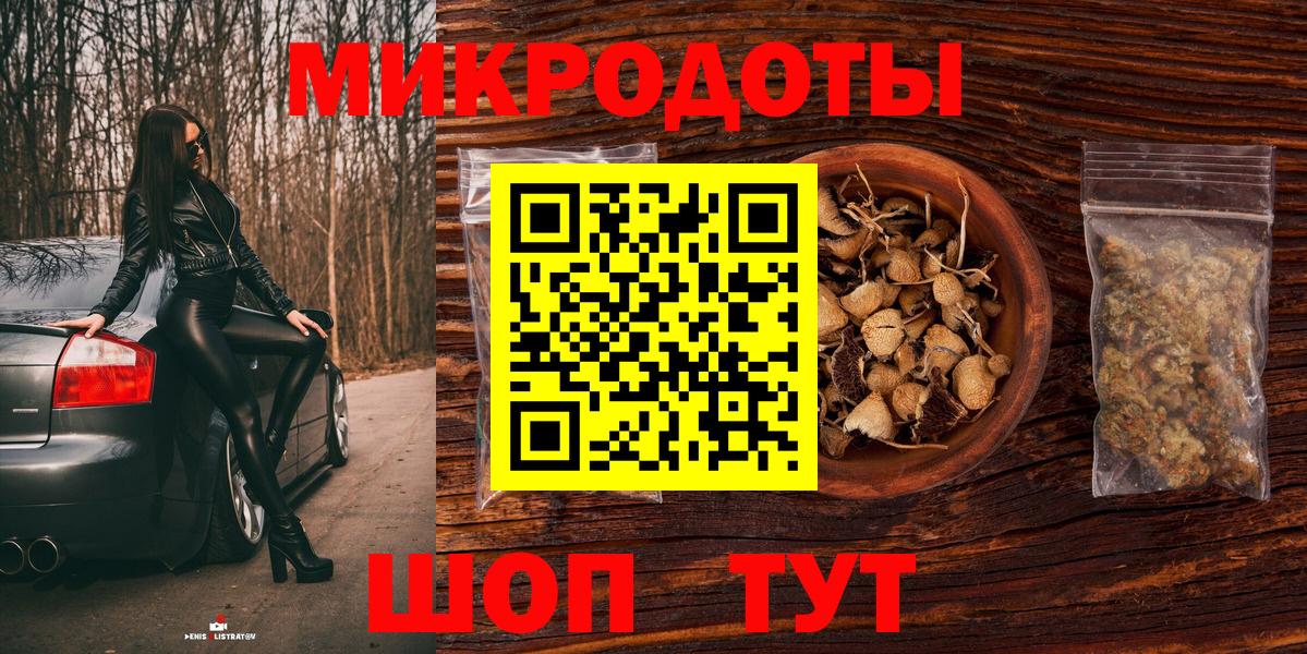 Псилоцибиновые грибы Psilocybine cubensis Тында